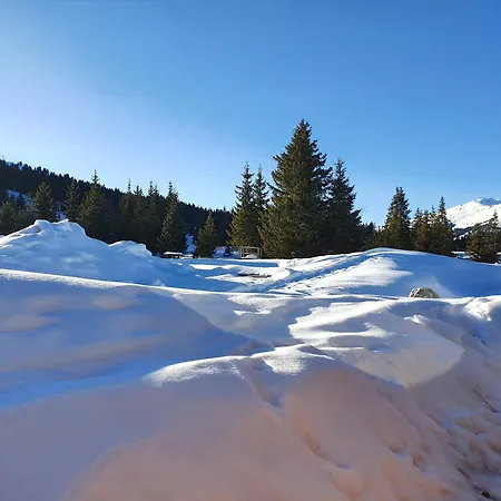 Gasthof Bäckenhäusl Hütten Komfortzimmer 4*