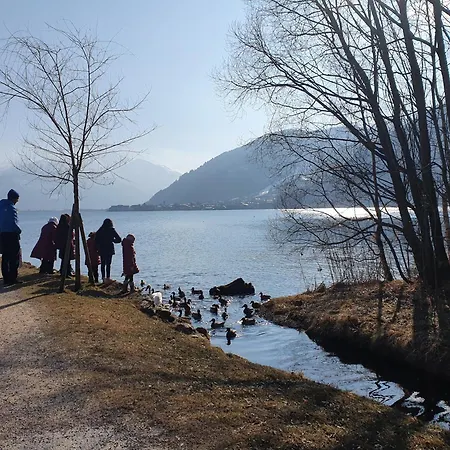 Bäckenhäusl Hütten Komfortzimmer Gasthof 4*